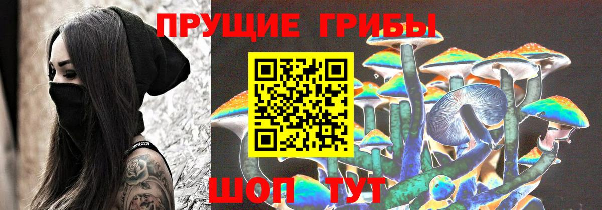 закладка  Берёзовский  Галлюциногенные грибы Cubensis 